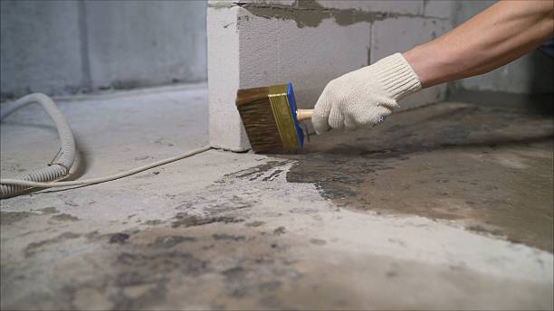 SJ Waterproofing Pros Waterproofing coverage map for Dansville, MI and surrounding area
